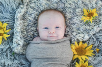 Penelope Sunflower newborn